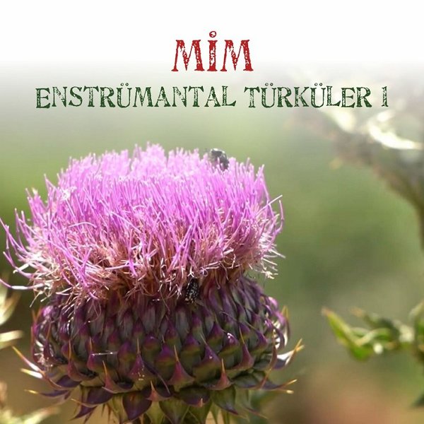 Mim Enstrümantal Türküler, Vol. 1 (Albüm) Enstrümantal Türküler 2021