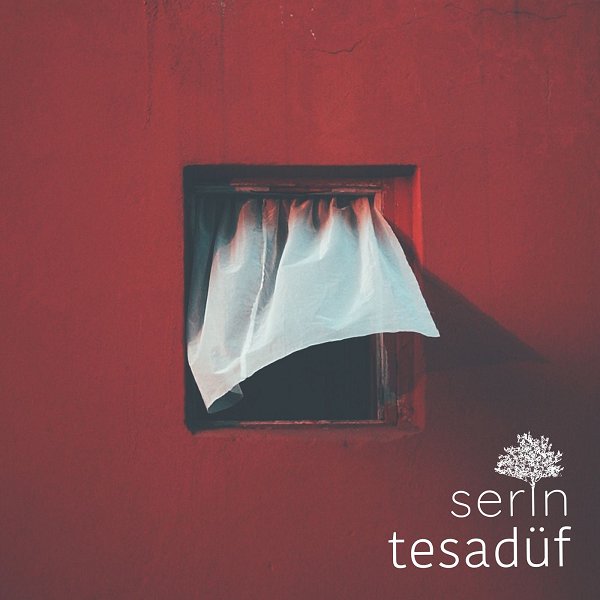 Serin - 2018