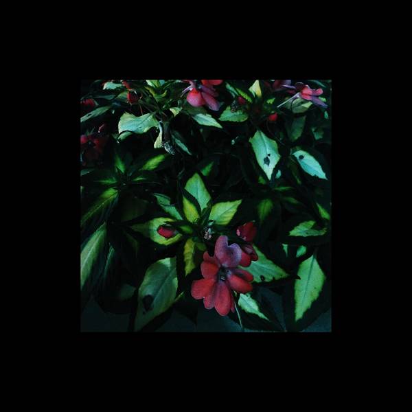 Yaz Bile Olmamış (Albüm) Sera Savaş 2020