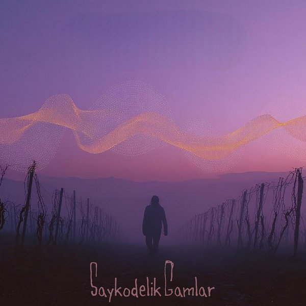 Saykodelik Gamlar (Albüm)