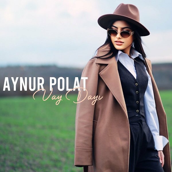 Aynur Polat 2024 Vay Dayı (Albüm)