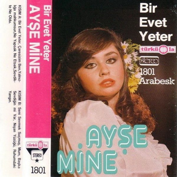 Bir Evet Yeter (Albüm) Ayşe Mine 1984