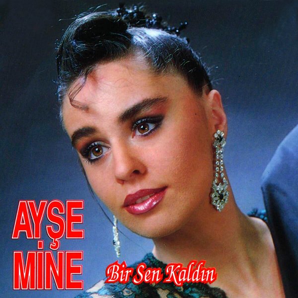 Bir Sen Kaldın (Albüm) Ayşe Mine 1992