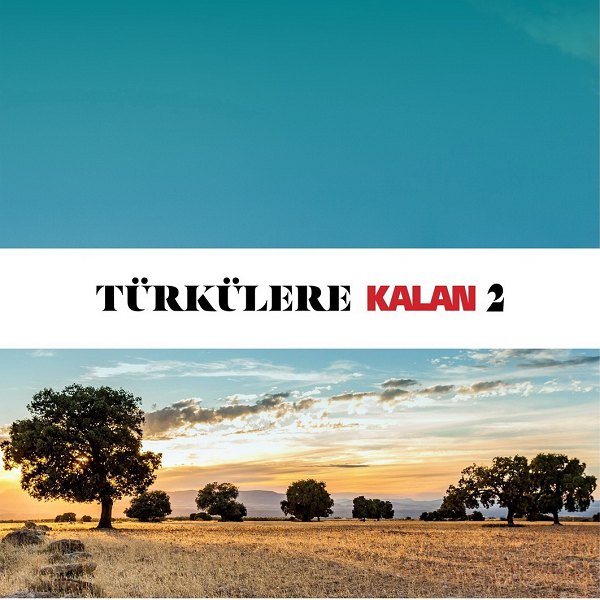 Türkülere Kalan, Vol. 2 (Albüm) Türkülere Kalan 2020