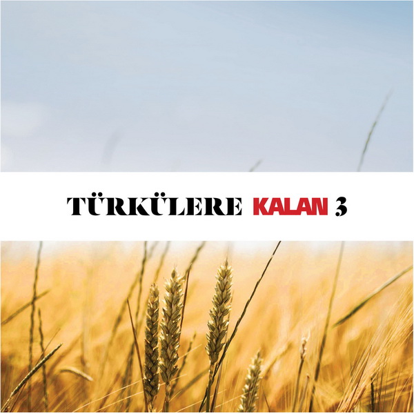 Türkülere Kalan 2020 Türkülere Kalan, Vol. 3 (Albüm)