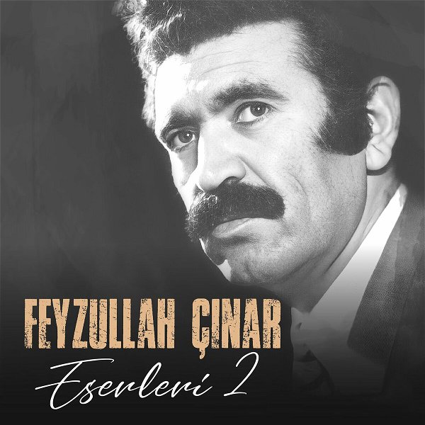 Feyzullah Çınar Eserleri 2 (Albüm)