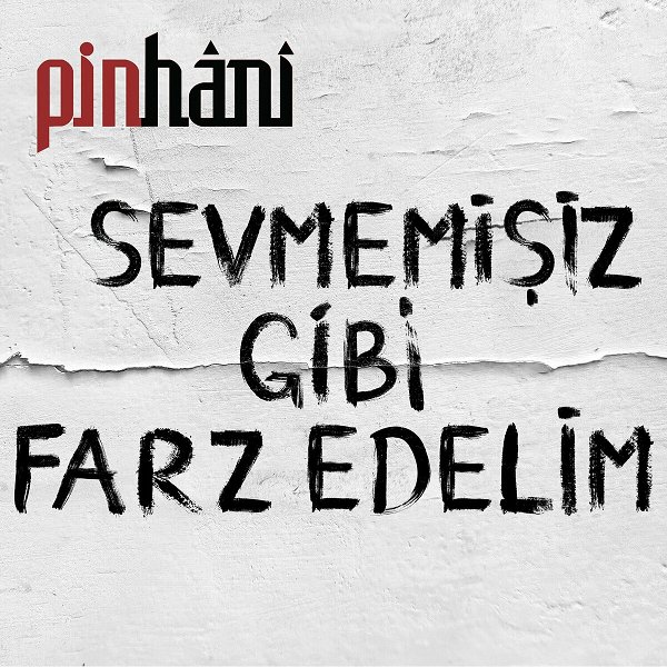 Sevmemişiz Gibi Farz Edelim (Single)