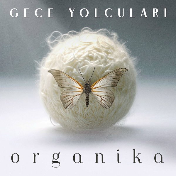 Gece Yolcuları 2023 Mp3 indir Organika (Albüm)