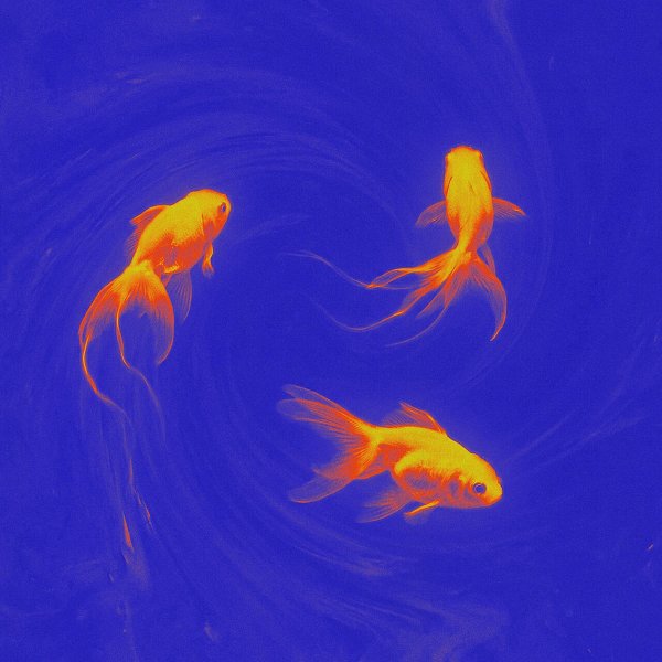 Halodayı 2026 Mp3 indir Geçmez sandın (Single)