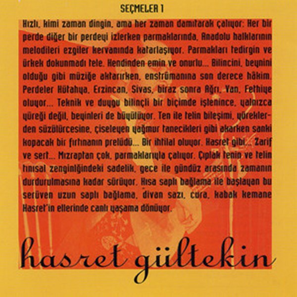 Seçmeler Hasret Gültekin