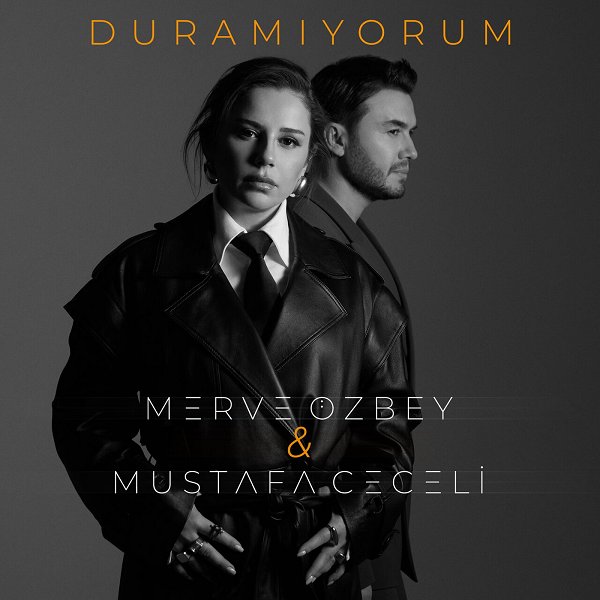 Merve Özbey 2025 Geçsin Yıllar (Single)
