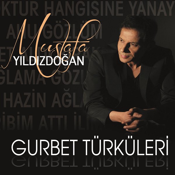 Mustafa Yıldızdoğan 2013