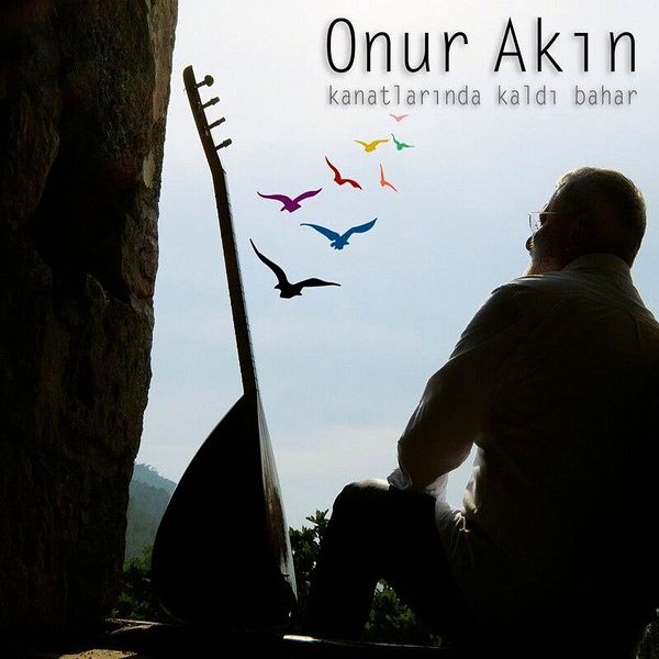 Onur Akın 2014