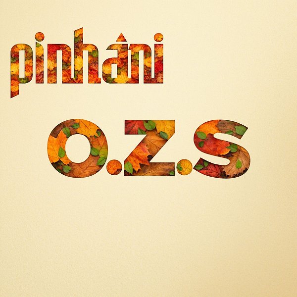 Pinhani 2026 Mp3 indir Şerefine (Single)