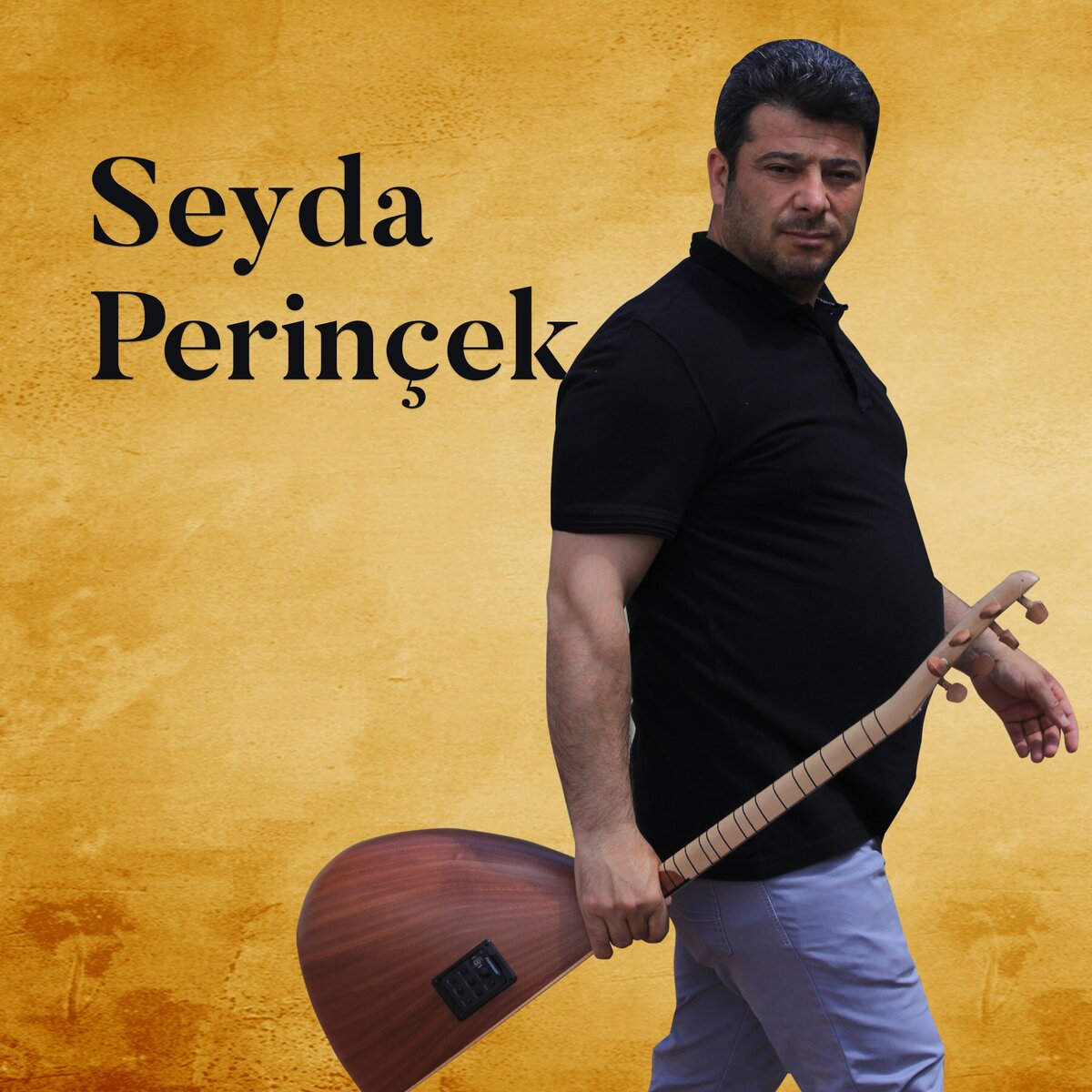 Seyda Perinçek 2021 Hatin (Albüm)