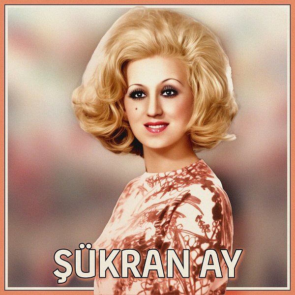 Sen Evlisin (Albüm) 