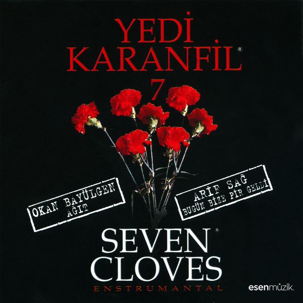 Yedi Karanfil 2000