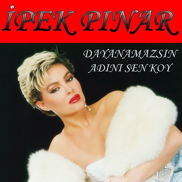 İpek Pınar 1990 Dayanamazsın / Adını Sen Koy (Albüm)